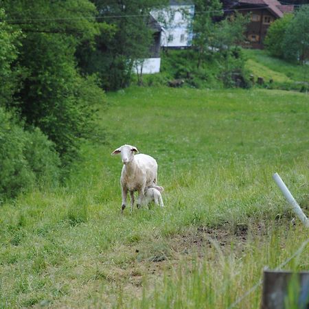 Landgasthof Seyrlberg Reichenau im Muhlkreis Экстерьер фото
